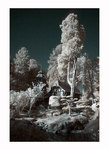Parc Oriental de Maul&eacute;vrier, photographie infrarouge.