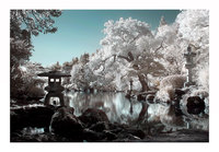 Parc Oriental de Maul&eacute;vrier, photographie infrarouge.