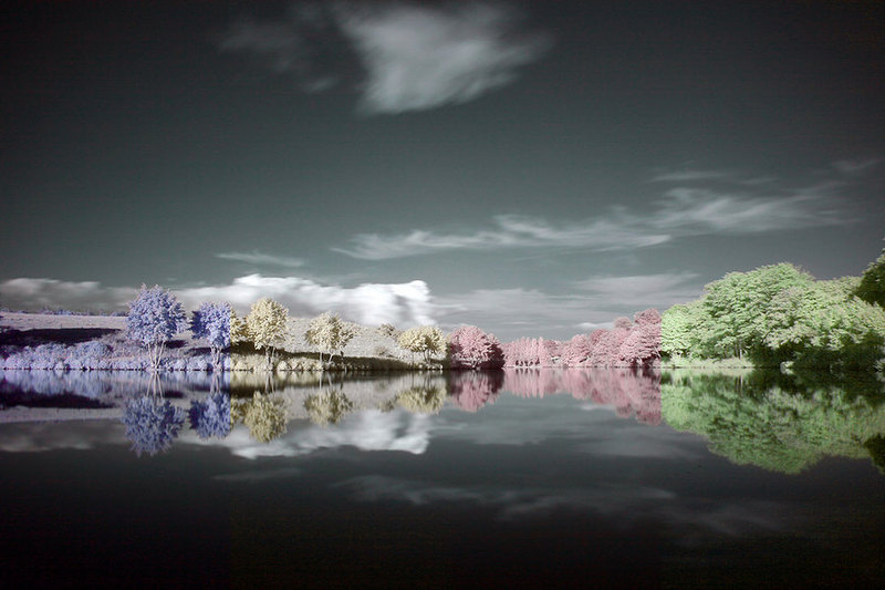 photographie infrarouge apr&egrave;s retouche - Roland.r