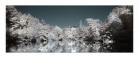 Parc Oriental de Maul&eacute;vrier, photographie infrarouge.