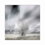 Photographie Infrarouge